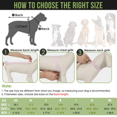Abrigo Lukovee para perros borde reflectante mayor visibilidad nocturna