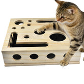 Lumixa caja enriquecimiento garras gato: superficie de lima natural para uñas