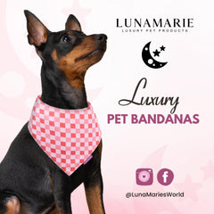 LunaMarie diseño sedoso en bandana Rebel, tamaño pequeño, ideal para sesiones de fotos.
