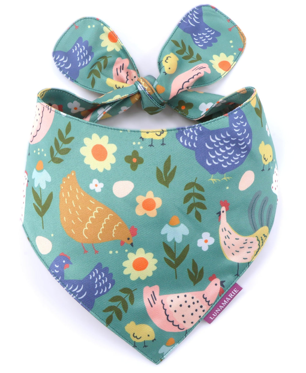 LunaMarie Bandana lujo para perro, enfoque en cumpleaños para fotos memorables.