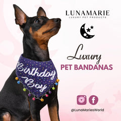 LunaMarie banda talla pequeña para cuellos de hasta 14 pulgadas.