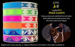 Collar Lupine reflectante para perro azul patas, ajuste 9-14 pulgadas, ideal para paseos nocturnos.