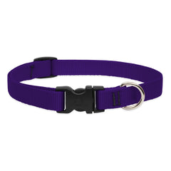 LupinePet Basics morado collar ajustable para perros pequeños, cómodo y duradero para paseos diarios