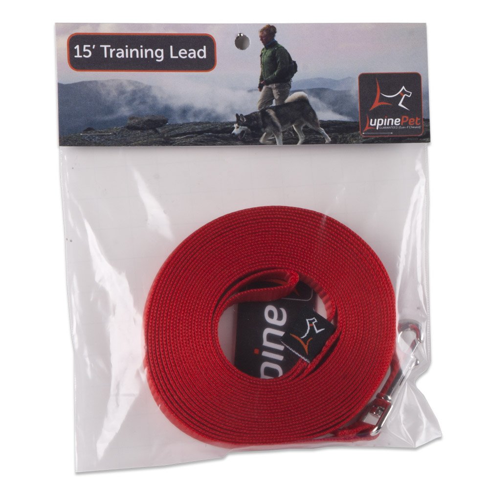 Correa LupinePet Basics con asa bucle de 15 pies para entrenamiento de cachorros.