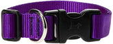 LupinePet Basics collar ajustable morado para perros medianos, comodidad y durabilidad