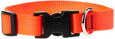 LupinePet Basics collar ajustable 15-25 pulgadas, ideal para perros grandes con ajuste seguro.