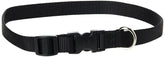 Collar LupinePet Basics ajustable 3-4 pulgadas, negro, para uso diario.