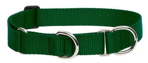 LupinePet Basics collar martingala verde de 1 pulgada para perros medianos y grandes.