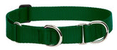 LupinePet Basics collar martingala verde de 1 pulgada para perros medianos y grandes.