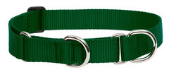 LupinePet Basics collar martingala verde de 1 pulgada para perros medianos y grandes.