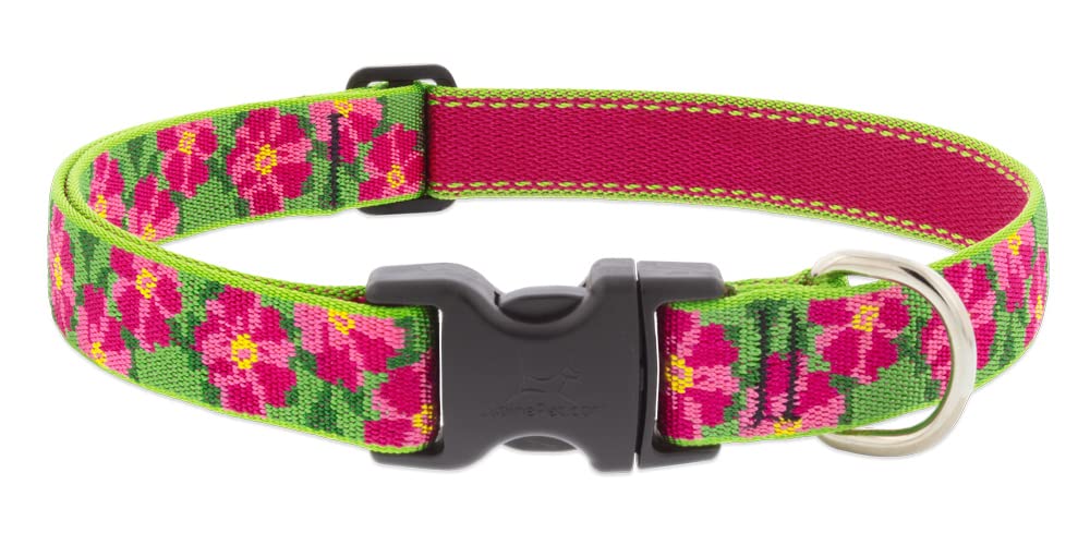 Collar LupinePet para perro, ajustable de 12 a 20 pulgadas para paseos confortables.