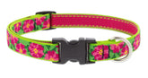 Collar LupinePet Petunias con ajuste 13–22 pulgadas para comodidad diaria.