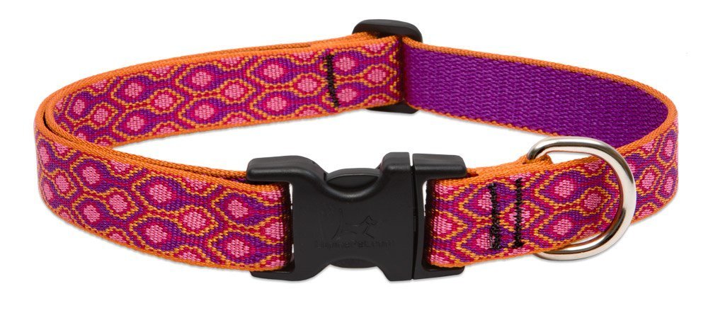 Collar LupinePet Originals Alpen Glow para perros medianos y grandes, duradero y cómodo.