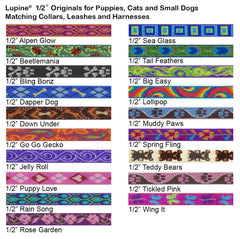 Hebilla de seguridad LupinePet Originals para collar de gato, liberación rápida para mayor seguridad.