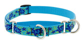 Collar LupinePet Originals martingala Tortuga Arrecife, para paseos con control.