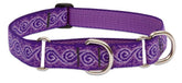 LupinePet Originals collar martingale de 1 pulgada para paseos con correa y control