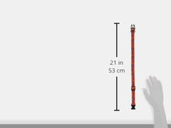 LupinePet Go Go Gecko collar 13-22 confort diario y seguridad en paseos.