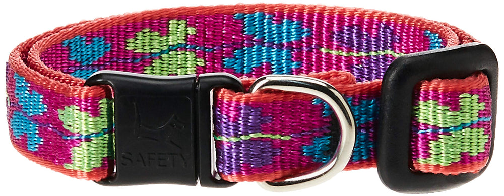 Collar LupinePet Originals Wing It con diseño en nylon jacquard, duradero para gatos