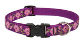 Collar LupinePet Originals Rose Garden ajustable 9-14 pulgadas para perros pequeños, cómodo y seguro.