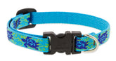 Collar LupinePet Originals Turtle Reef 8-12 para perros pequeños, duradero y colorido.