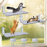 Percha de ventana para gatos de L&W BROS con vista panorámica para observar desde casa.