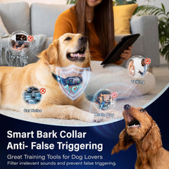 Lykani Collar Antiladridos con IA, tecnología precisa para entrenamiento selectivo.