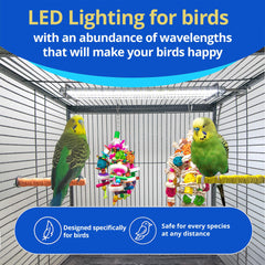 Luz HappyBird con guardia de mordidas para aves de pico.