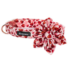 M MACA BATES collar con ajuste personalizado y lazo floral listo para paseos.