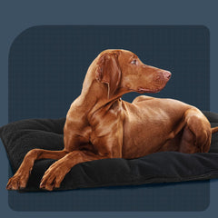 Cama de jaula para perros MABOZOO; protege contra desgarros y desperfectos.