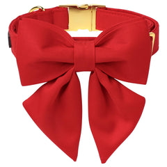 Maca Bates collar perro: guía de medición para ajuste cómodo y seguro.