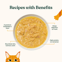 Made by Nacho tazón con comida húmeda, dieta equilibrada para gatos adultos.