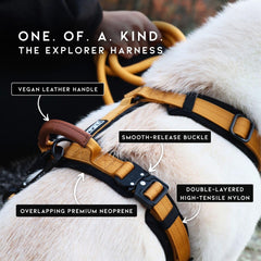 MADE TO ROAM Arnés Explorer con herrajes de metal para mayor seguridad durante caminatas.