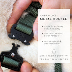 MADE TO ROAM collar con anilla grande en D para enganchar la correa.