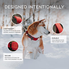 Collar MADE TO ROAM estilo martingale, primer plano de ajuste sin tirones.