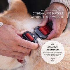 MADE TO ROAM Comfort Collar: nylon de alta tenacidad para uso diario y juego.