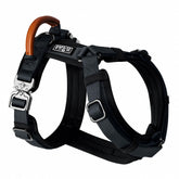 Arnés Explorer de MADE TO ROAM, vista frontal, cómodo y seguro para paseos diarios.