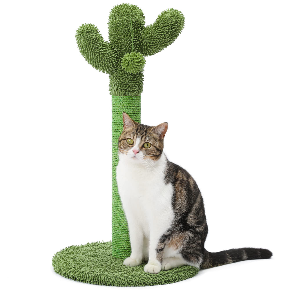 MADE4PETS poste rascador cactus 21,7 pulgadas para arañar y ejercitarse