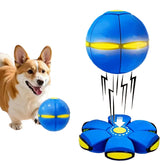 Magic Ball: bola rebotante con luces para perros activos y diversión prolongada.