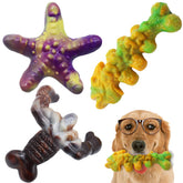 Magicorange Estrella de mar: mordedor duradero para perros agresivos, ideal para masticación prolongada.