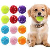 Magicorange Pelotas de tenis para perros, 2 pulgadas, juego interactivo.