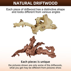 majoywoo driftwood, ramas naturales para acuario, decoran y ofrecen escondites.