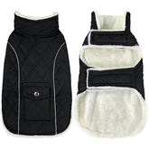 Malier: vista frontal de la chaqueta de invierno para perro, protección cálida y cobertura total