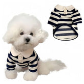 MANON ROSA camiseta polo azul con rayas para perro, ideal para salidas de verano.