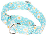 Collar martingala MAOWUWUJOZ 1,5 pulgadas azul daisy, ideal para paseos.