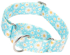 Collar martingala MAOWUWUJOZ 1,5 pulgadas azul daisy, ideal para paseos.