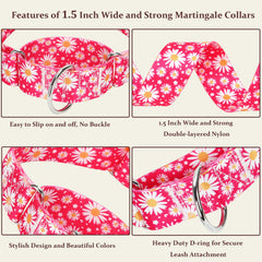 MAOWUWUJOZ collar martingale daisy rosa fucsia, cierre resistente ideal para entrenamiento diario.