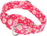 MAOWUWUJOZ collar martingale daisy rosa fucsia, vista frontal para control suave en paseos.