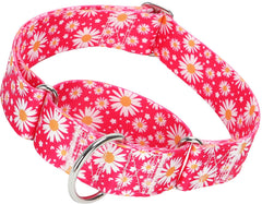 MAOWUWUJOZ collar martingale daisy rosa fucsia, vista frontal para control suave en paseos.