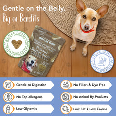 Marcy's Pet Kitchen galletas para perros veganas y sin gluten, opción saludable.
