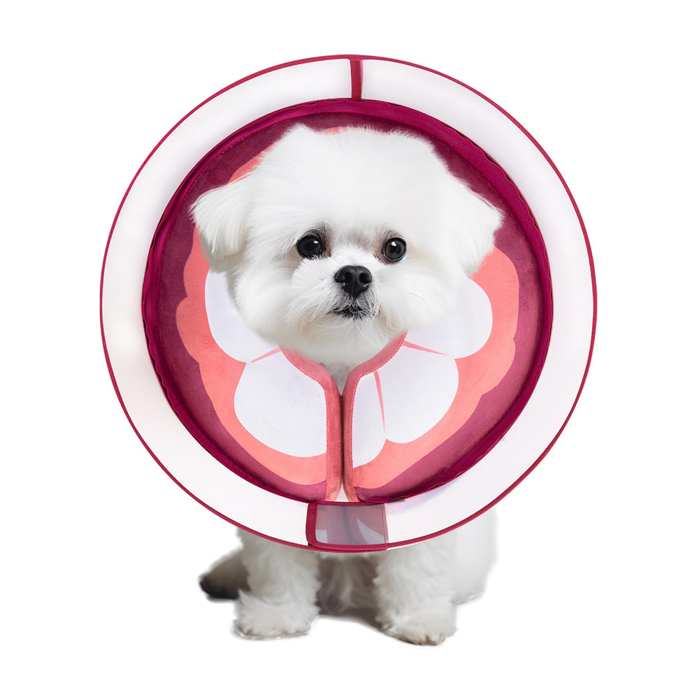 Mariyago collar inflable Mangostán mediano para recuperación postoperatoria de perros